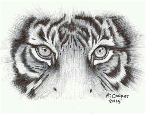 small tiger eye tattoo|36 Meaningful Tiger Eyes Tattoo Design Ideas (Hungry for